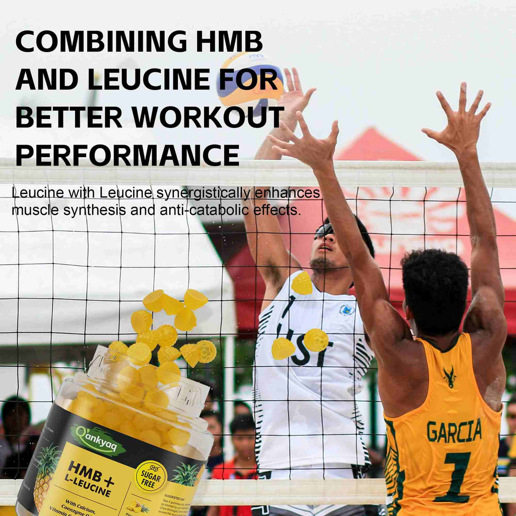 HMB + Leucine Gummies — benefit detail